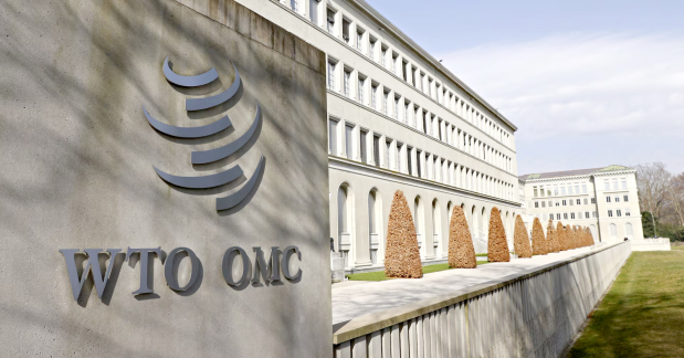 WTO plans 10 per cent budget cut